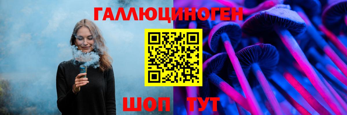 Гай  Псилоцибиновые грибы Psilocybe  Вход с VPN 