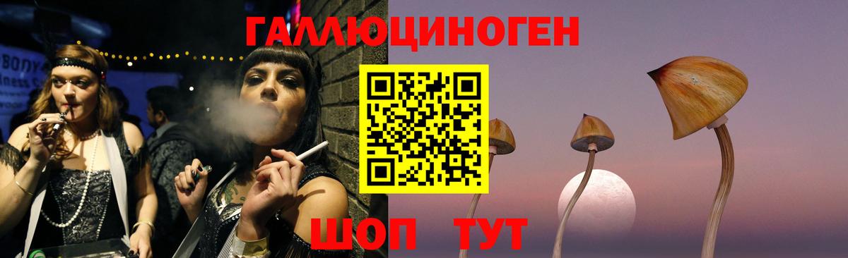 Псилоцибиновые грибы Psilocybe Гай
